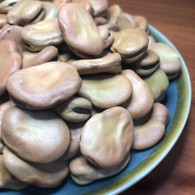 Load image into Gallery viewer, Broad Beans