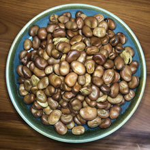 Load image into Gallery viewer, Faba Beans