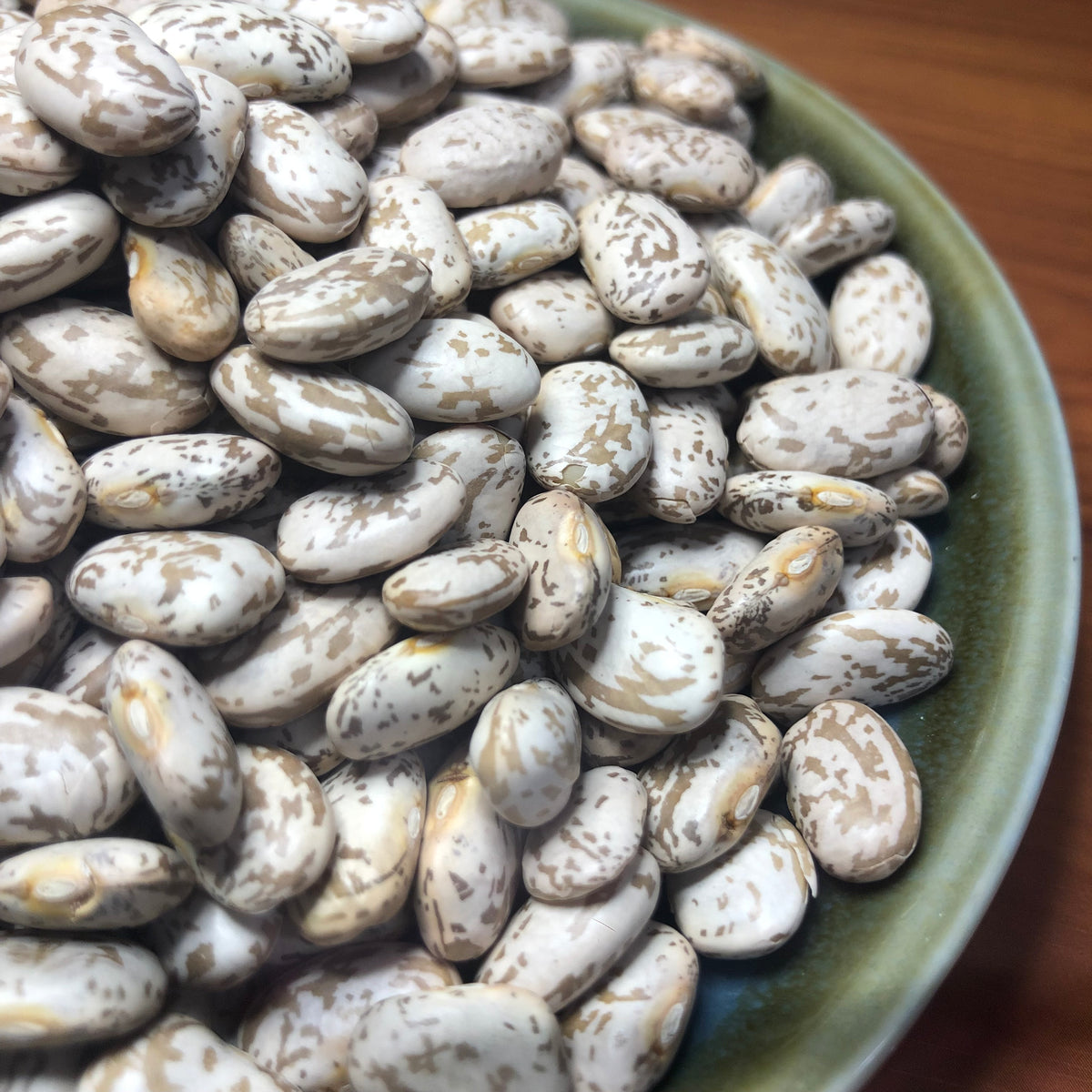 Australian Pinto Beans Clean Pantry