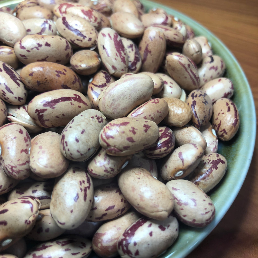 Australian Borlotti Beans