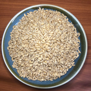 Australian Pearl Wheat
