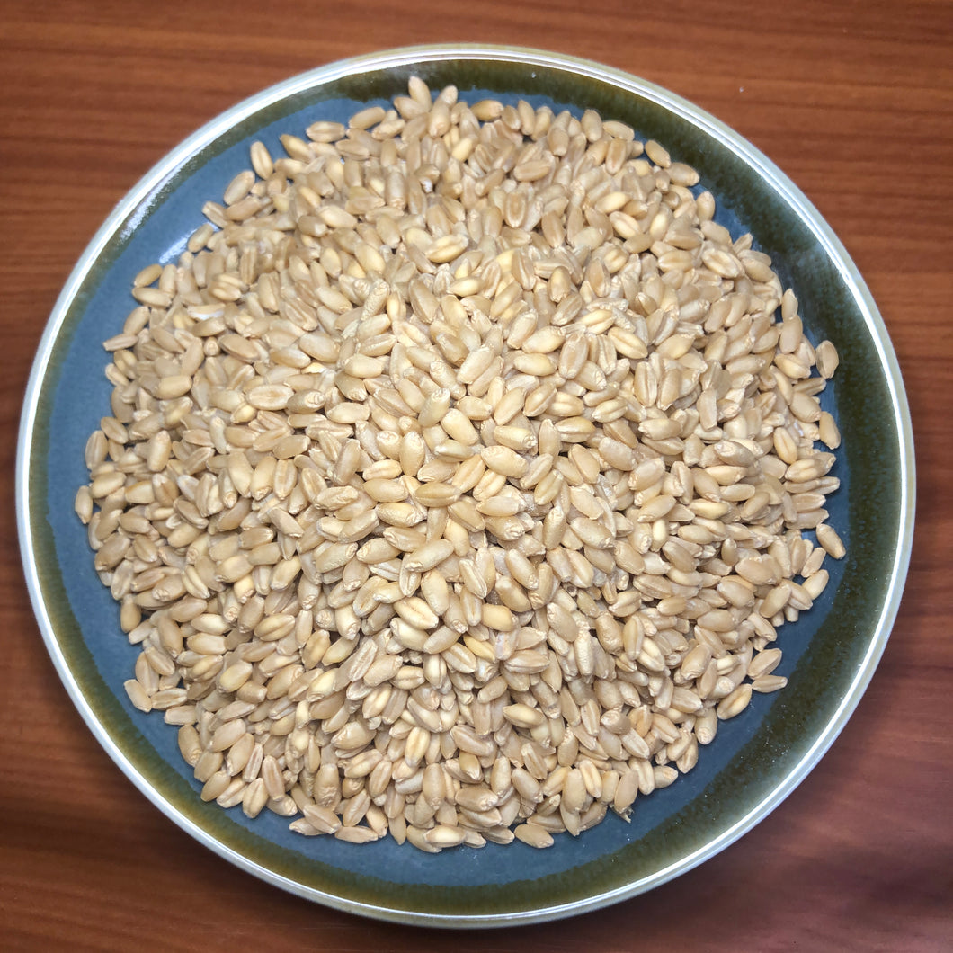 Australian Pearl Wheat
